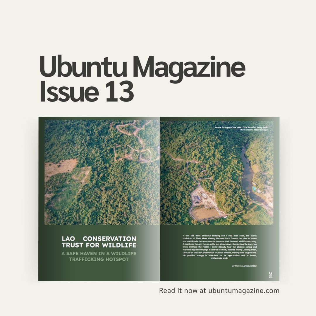 Read our new article