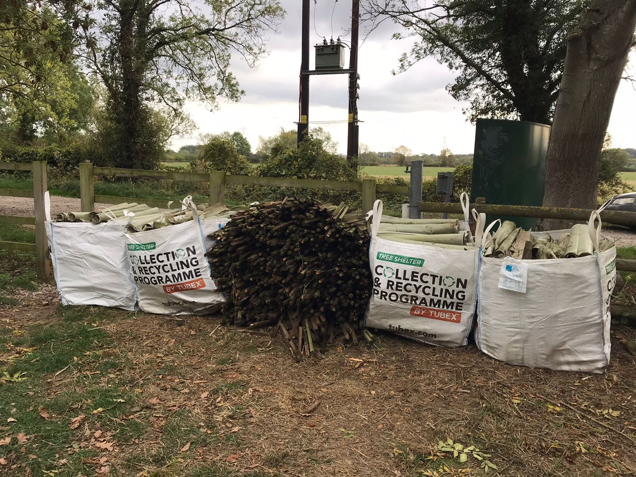 Tree guard removal and litter picking event
