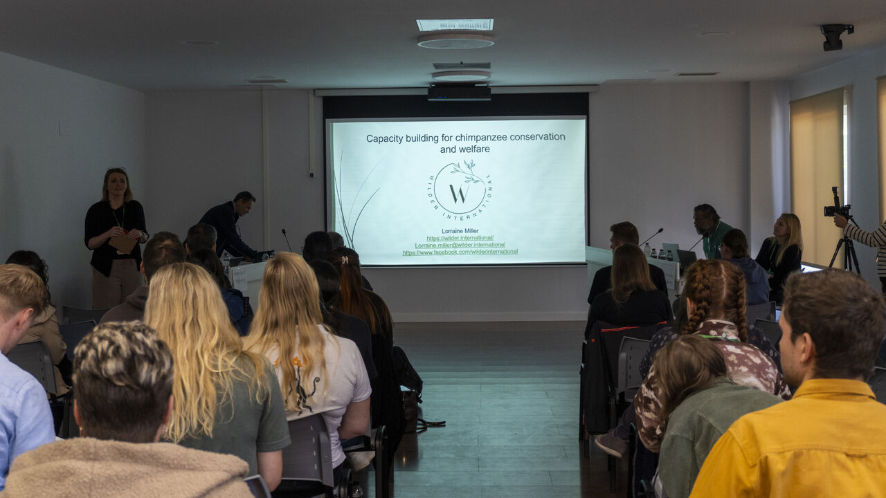 Wilder International presents at the first European Chimpanzee Workshop