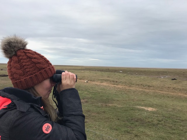 Partnering with Opticron