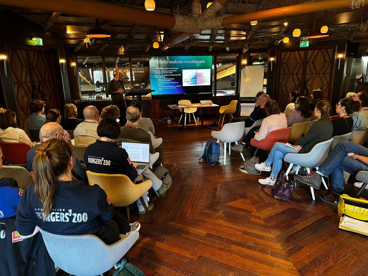 Wilder International director attends European great ape meeting