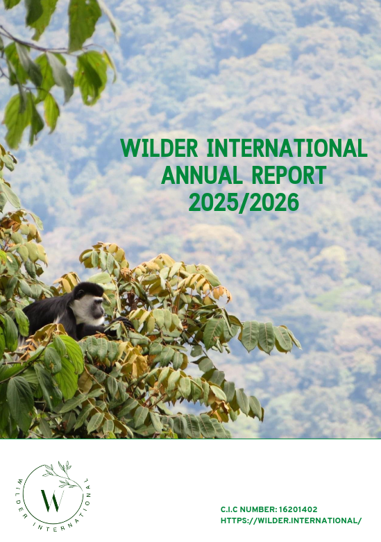 Our first annual report is here