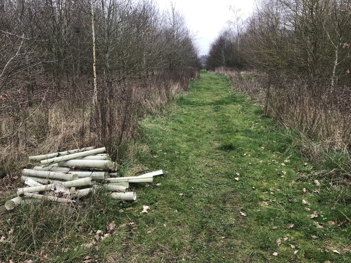 First tree guard removal event of 2026